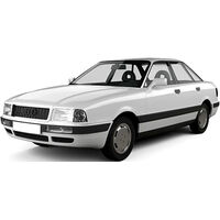 100 (C3) (1988-1991)