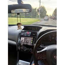 Canbox BGT9 2/32 (глянцевая с крутилками) 8 дюймов на Android 10 (IPS, DSP, CarPlay)
